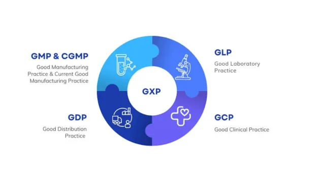 GxP Compliance Overview: Ensuring Quality Across Regulated Industries